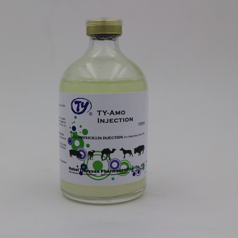 Buy Liquid Amoxicillin Online